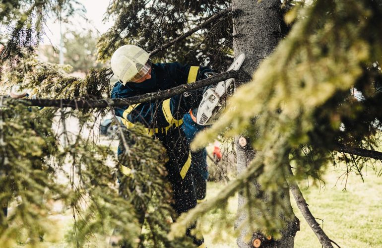 arborist